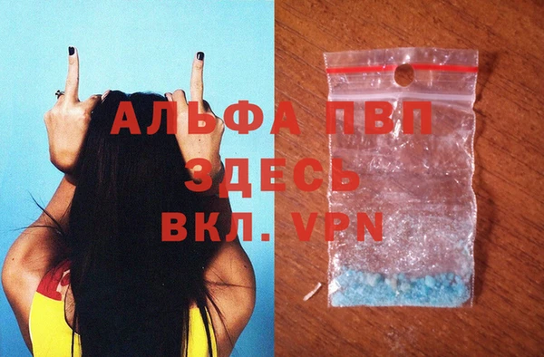 крисы Абаза