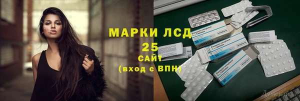 крисы Абаза