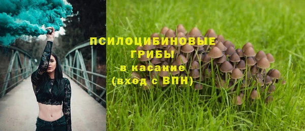 крисы Абаза