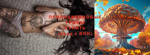 не бодяженный Алзамай