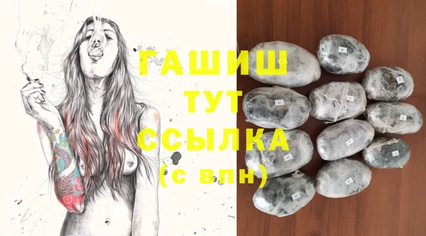 крисы Абаза