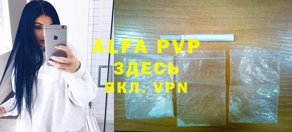 крисы Абаза